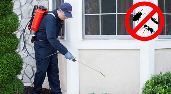 Balışeyh Dezenfeksiyon böcek ilaçlama ve haşere kontrolü — ilaclama-tr.com